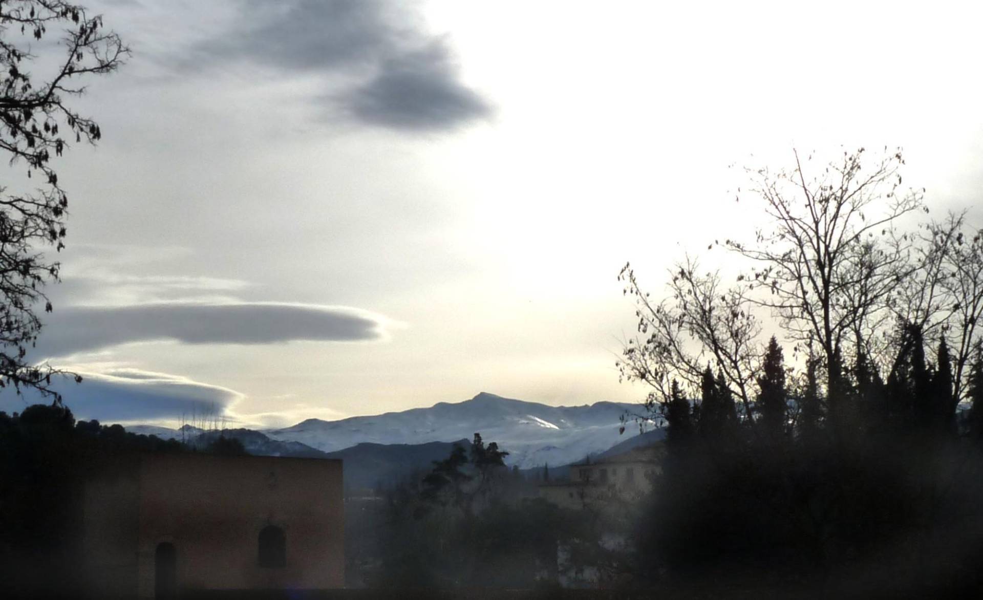 Snow-covered Sierra Nevada seen from the Alhambra in January, above bare winter trees and the rooftops of Granada