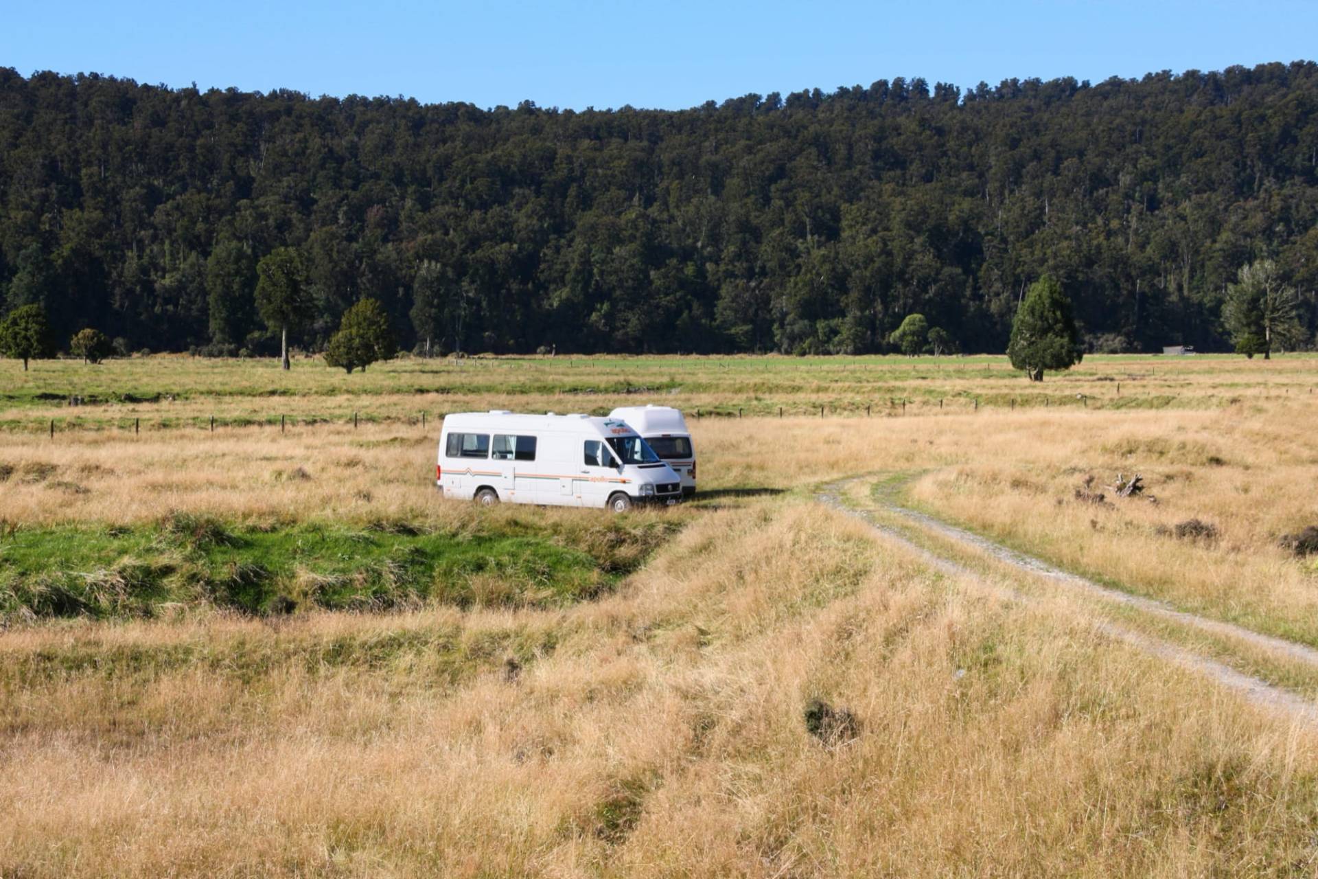 White campervan parked on a grassy flat beside a gravel track with dense West Coast forest behind under a blue sky