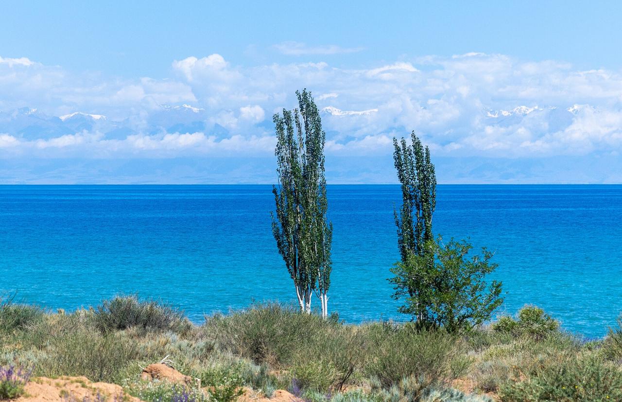 Blue water of Issyk-Kul with poplar trees and the Tian Shan mountains beyond