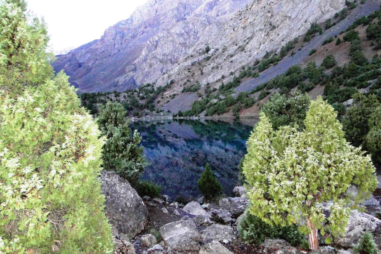 Juniper trees and mountain slopes reflected in a lake in Tajikistan's Seven Lakes valley