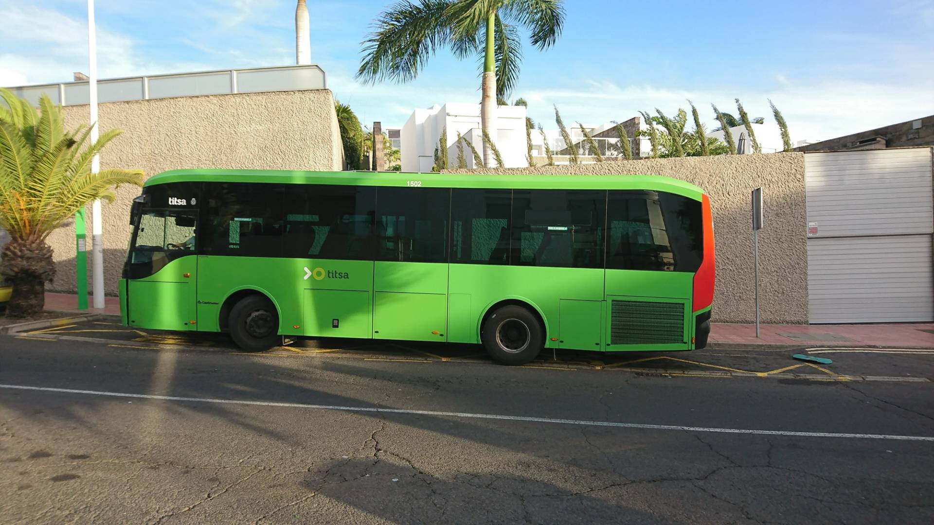 Green TITSA bus at a stop beside palm trees in Costa Adeje