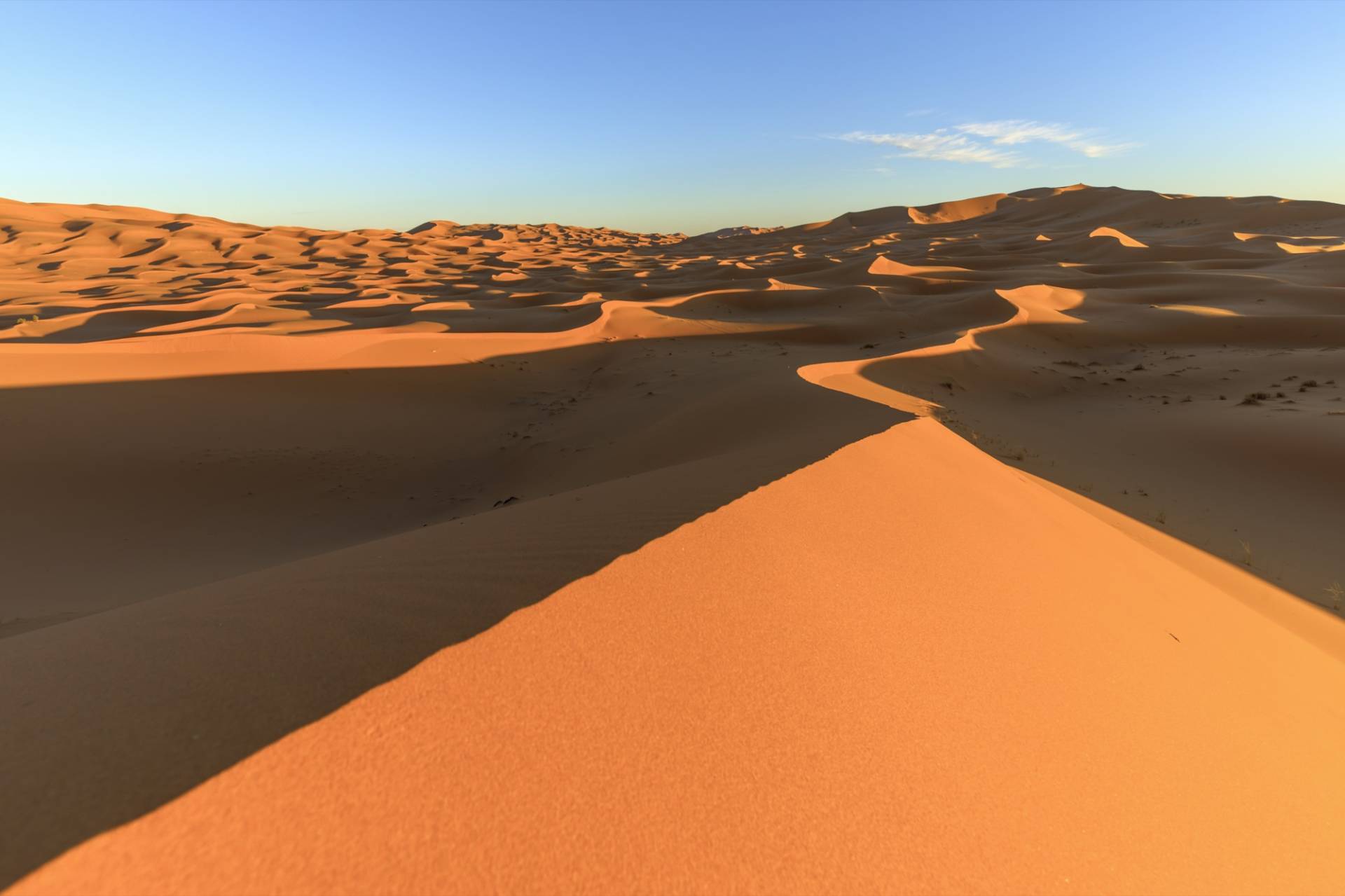 A sharp sand ridge in the foreground leading the eye across the orange dunes of Erg Chebbi near Merzouga in low evening light, long shadows on the slopes and a clear blue sky