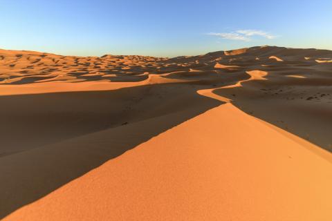 A sharp sand ridge in the foreground leading the eye across the orange dunes of Erg Chebbi near Merzouga in low evening light, long shadows on the slopes and a clear blue sky