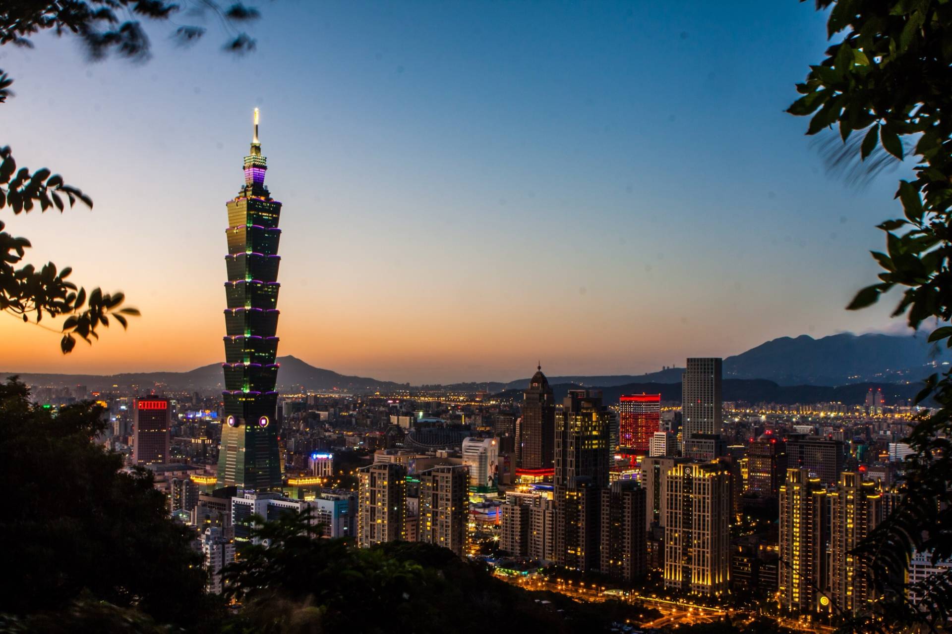 Taipei 101 rising above the lit city skyline at dusk, seen from Elephant Mountain with dark tree branches framing the view