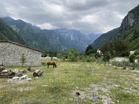 A grazing horse beside stone buildings beneath cloud-covered peaks in Theth