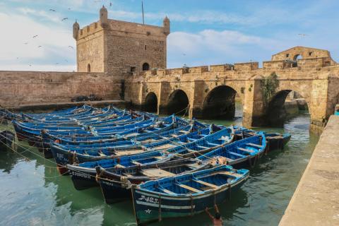 Blue wooden fishing boats moored in the Essaouira harbour below the square stone bastion and arched sea wall of the Skala du Port, gulls flying against a pale sky