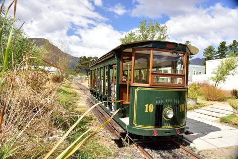 The green and wood-panelled Franschhoek Wine Tram carriage on its rails beside tall reeds, with mountains behind