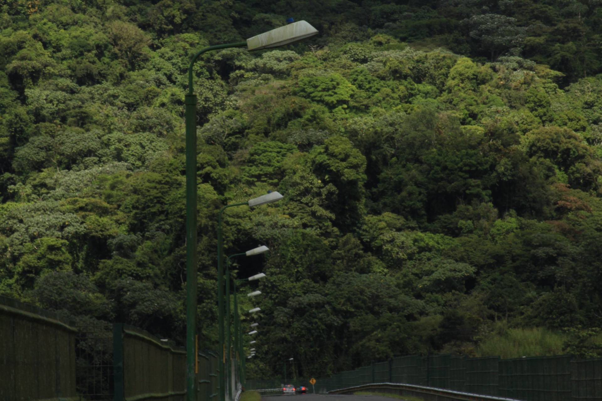 A paved road with streetlights crossing the Arenal dam, two cars in the distance and steep forested slopes rising behind
