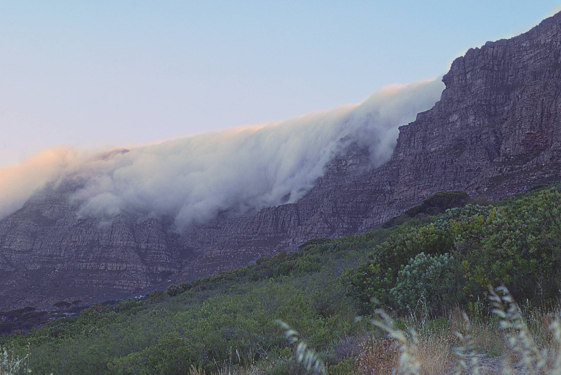 Cape Town in January: Planning Around Summer Weather and Wind