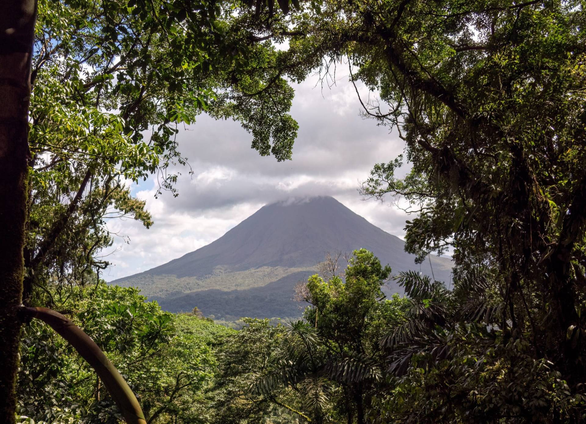 Arenal Volcano's dark cone with a cap of cloud on the summit, framed by rainforest branches and palm fronds under a bright sky