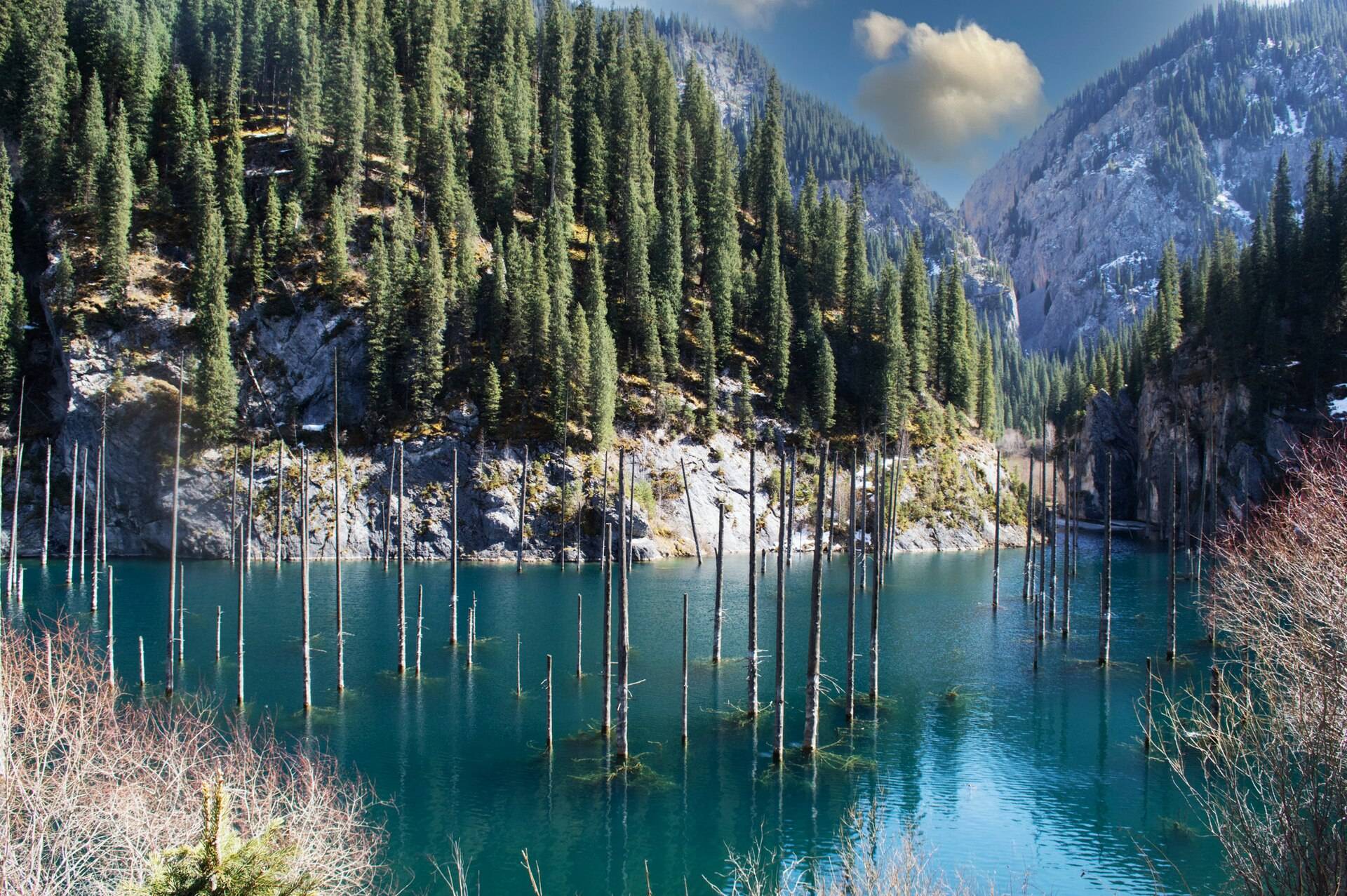 Bare tree trunks rising from blue-green Kaindy Lake beneath forested mountain slopes