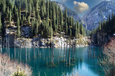 Bare tree trunks rising from blue-green Kaindy Lake beneath forested mountain slopes