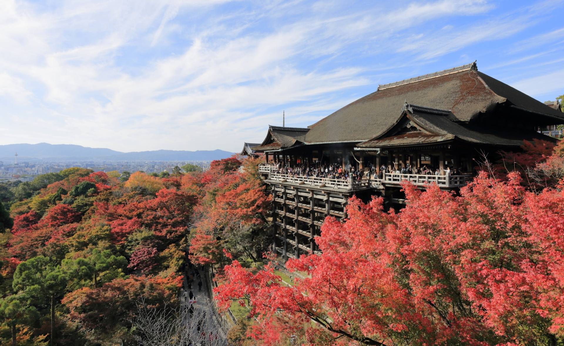 Kiyomizu-dera's main hall on its wooden stage above a hillside of red and orange maples, with Kyoto's rooftops and the western hills under a blue sky with thin cloud in the distance