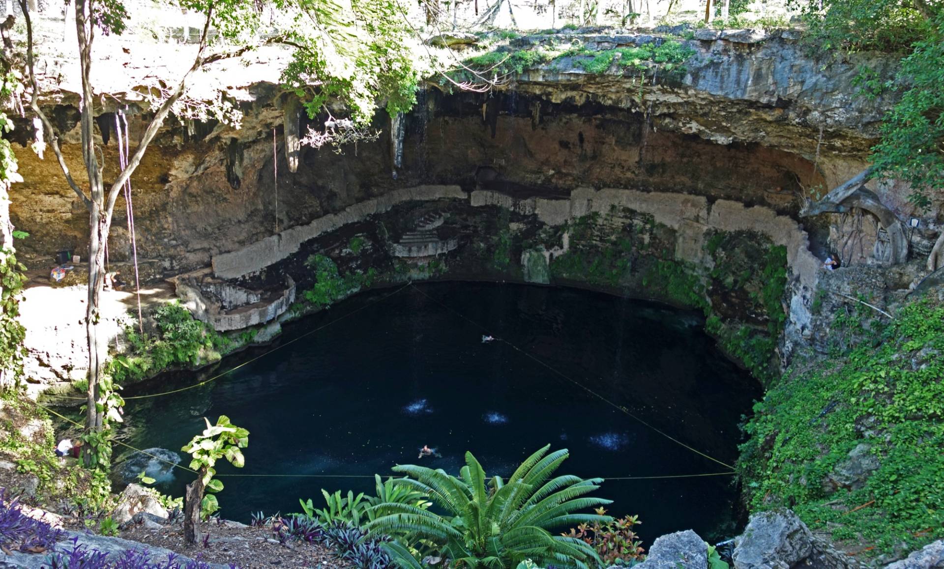 Cenote Zací in Valladolid seen from the rim: a wide open sinkhole with dark blue water, a rock overhang with stalactites and hanging roots, a curved stone walkway and a few swimmers below